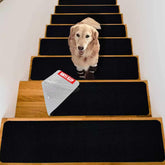 Tigsport nonslip stair treads on wooden steps for secure footing and style