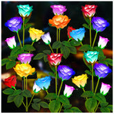 TONULAX rose light bloom gracefully illuminating a garden path with soft color changes.