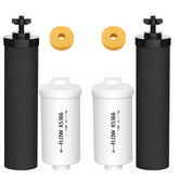 Virego BB9-2 black filter replacement for improved taste and odor control.
