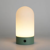 WEILAILUX battery-operated shower lamp with cactus design for cord-free ambiance.