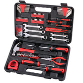 WINNER 175-piece tool kit stored neatly in a portable case for home repairs.