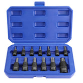 WORKPRO torx bits in 1/4-inch drive for precise automotive work.