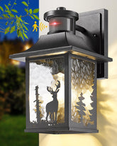 WSCXSC motion sensor outdoor wall light with dusk-to-dawn operation for porch lighting.
