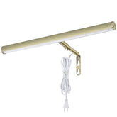 Xbuyee LED picture light with antique-brass-finish highlights artwork with a warm glow.