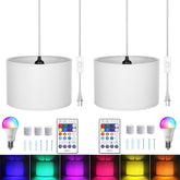 ZSLAIFU 15ft plug-in pendant light with switch, easy plug-in installation for any space.