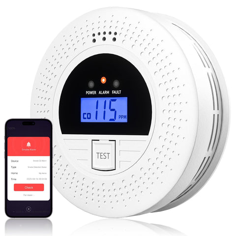 ABORNI WiFi 2-in-1 detector with display provides real-time status readouts.