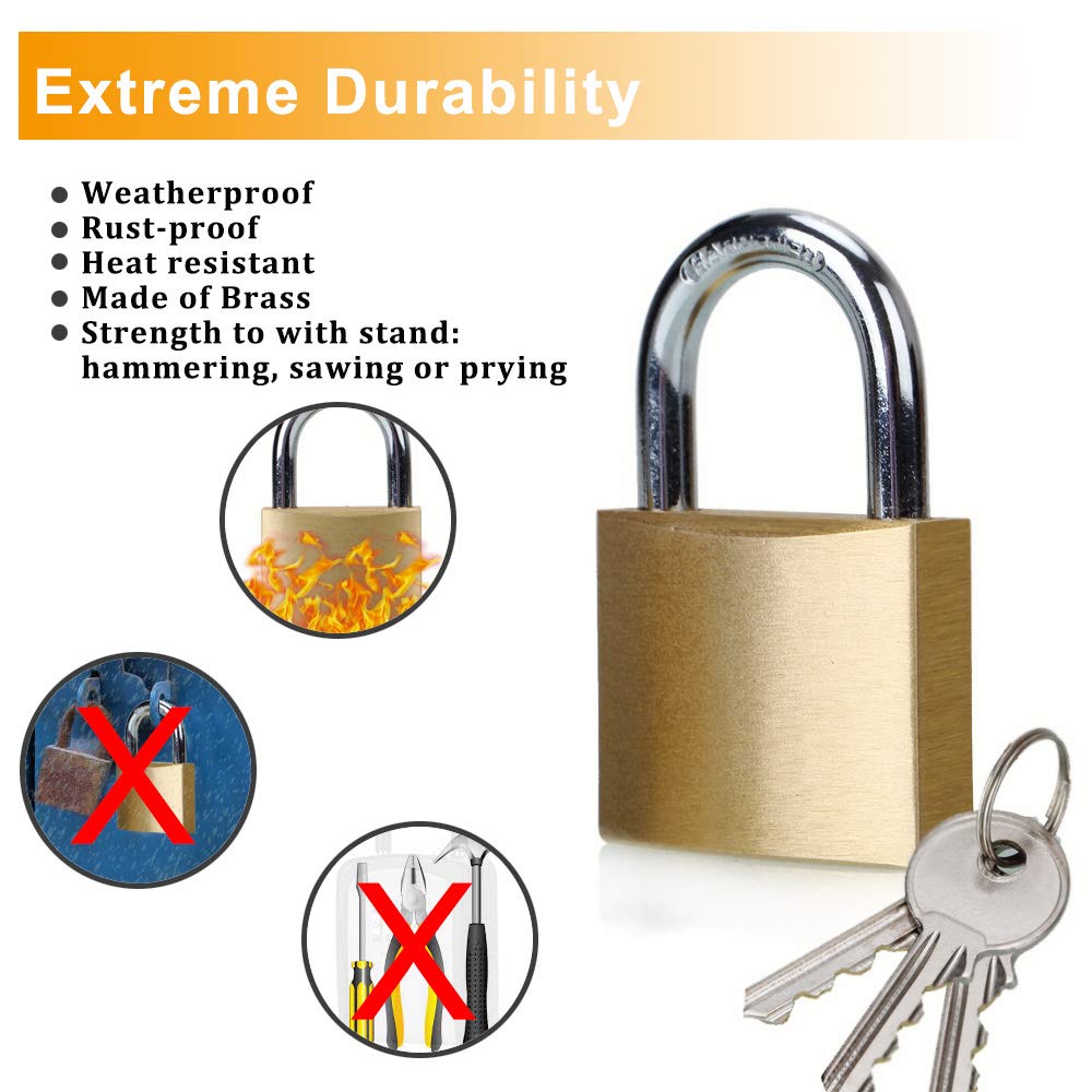 ABRA FOX padlock shackle closeup highlights hardened steel and strength