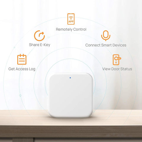 AceFox G2 gateway voice-control setup supports Alexa for hands-free access.