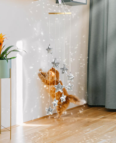 AceList pet-friendly design invites pets to chase reflections