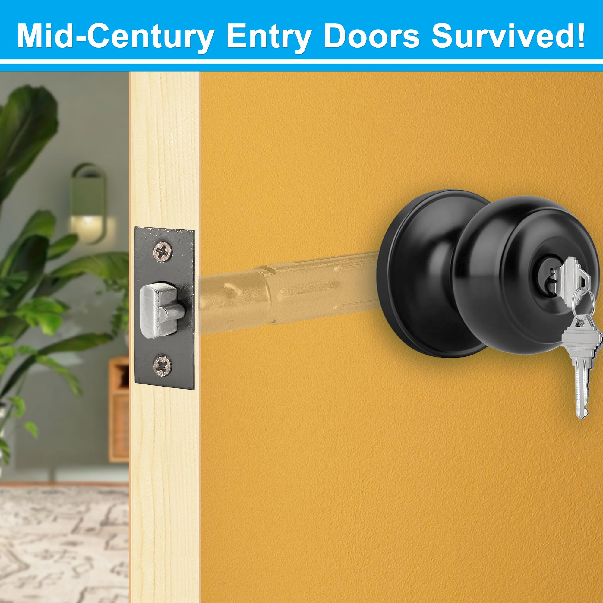 ACEPLANET matte black latch and knob pair for contemporary doors.