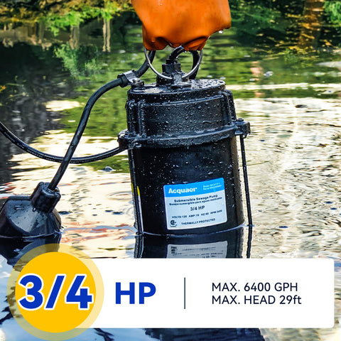 Acquaer pump with automatic float switch for auto operation