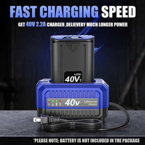 ActZone rapid 42V output supports quick runtime when yard work calls.