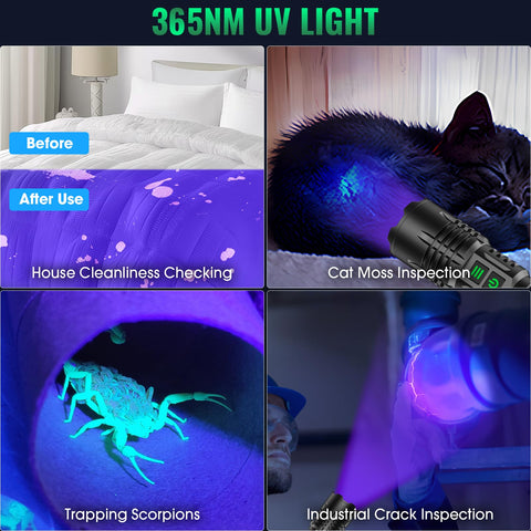 AdamStar 365nm UV detection reveals pet stains and residues