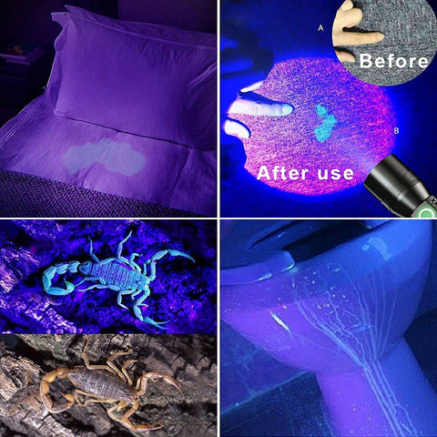 AdamStar UV flashlight magnetic base enabling hands-free use
