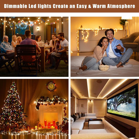Adapter-Universe compatible with Lutron and Leviton dimming controls