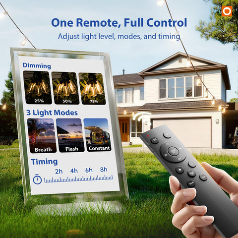 addlon dimmable LEDs enable customizable brightness for any occasion.