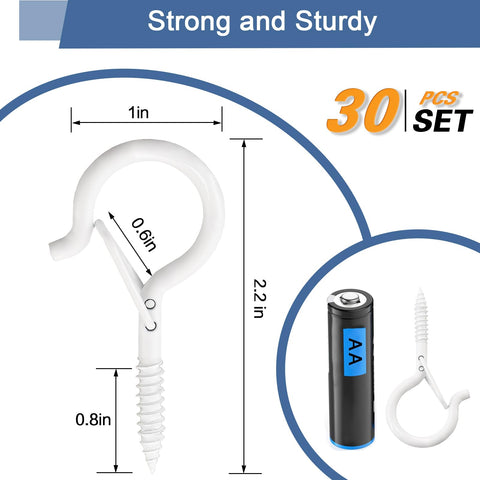 Adiil 30-pack includes hooks and plastic expansion tubes for secure hanging.