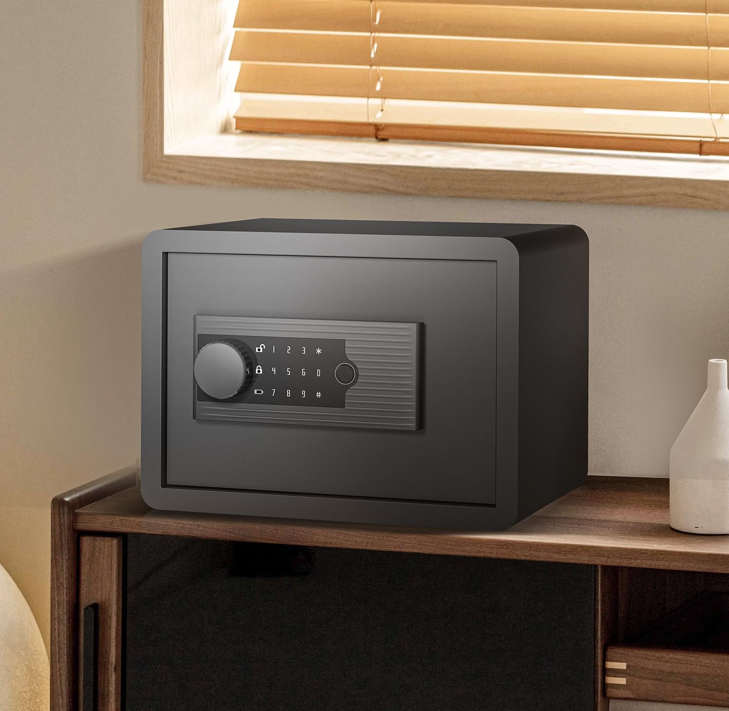 AEGIS removable shelf enables organized storage of cash, jewelry, documents