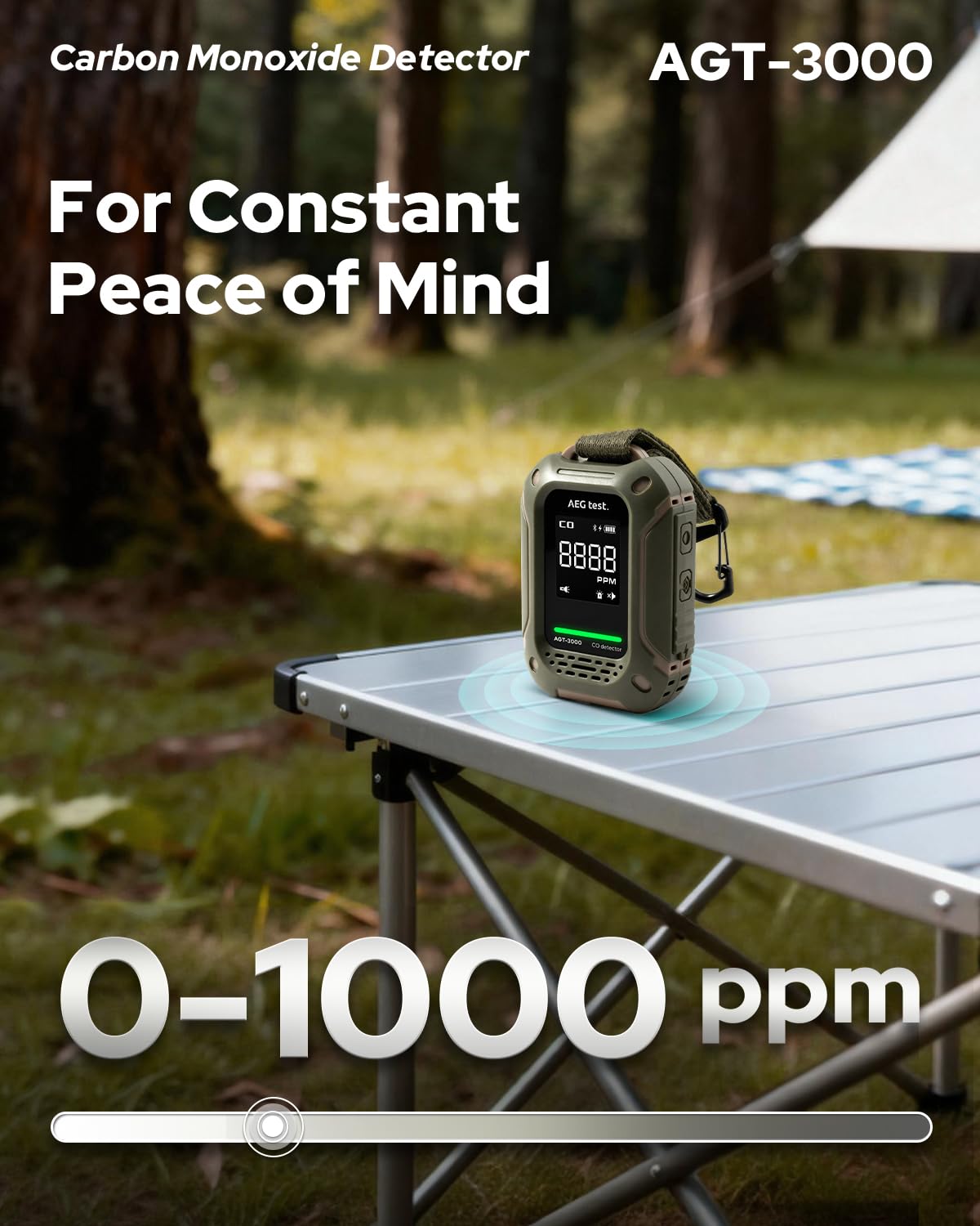 AEGTEST AGT-3000 audible and visual alarm signals CO levels