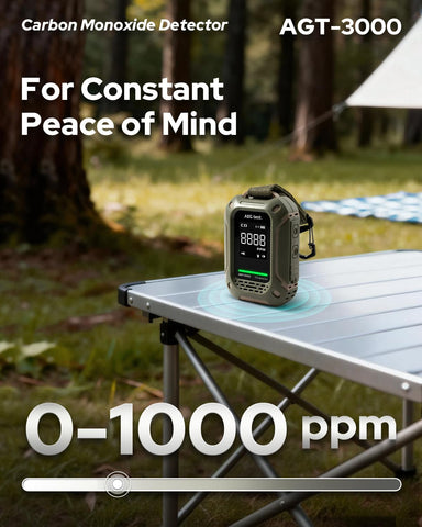 AEGTEST AGT-3000 audible and visual alarm signals CO levels