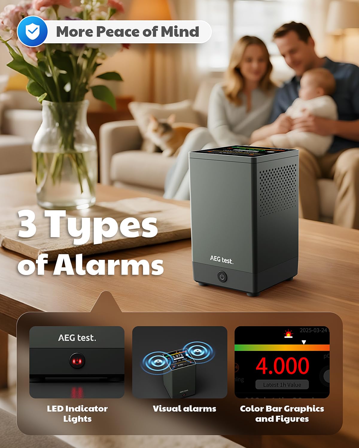 AEGTEST HOUND-2033 audible and visual alarms alert on level changes