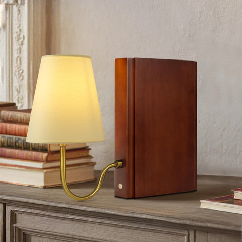 AELS wooden bookshelf lamp with bulb included adds warm illumination to your reading corner.