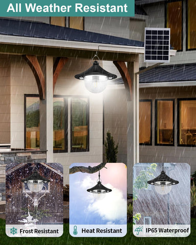 AEQ multi-mode lighting for shed, garage, gazebo and more.