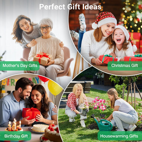 Ahaorigin gift-ready lily lights suit holidays and mom-themed celebrations.