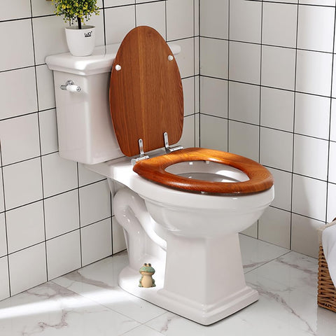 AKV porcelain frog bolt cover set – enhances bathroom decor with a playful accent.