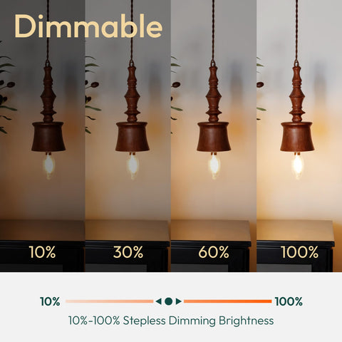 ALAMPEVER dimmable E12 B11 bulb enables smooth brightness control.