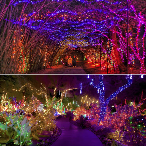 Albelt versatile decor lights for Christmas, Halloween, and more.