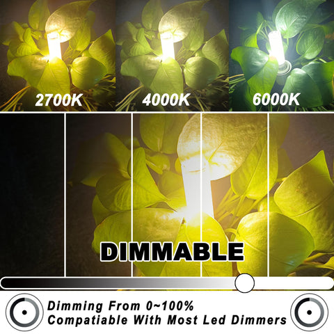 ALIDE JDE11 LED bulbs 750 lumens at 7 watts for bright output.