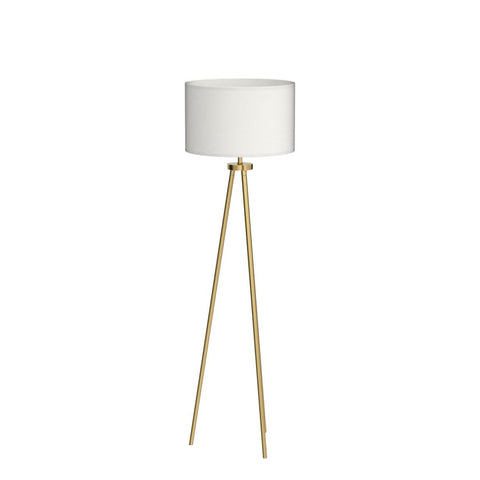 ALLDIO brass finish highlights industrial charm and warmth