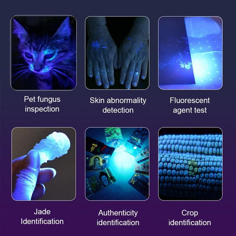 ALONEFIRE SV84 UV flashlight detects scorpions under ultraviolet light