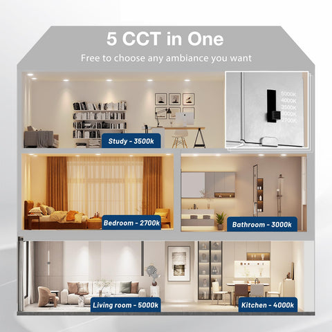 Amico 5 CCT selectable downlight for warm to daylight ambience.