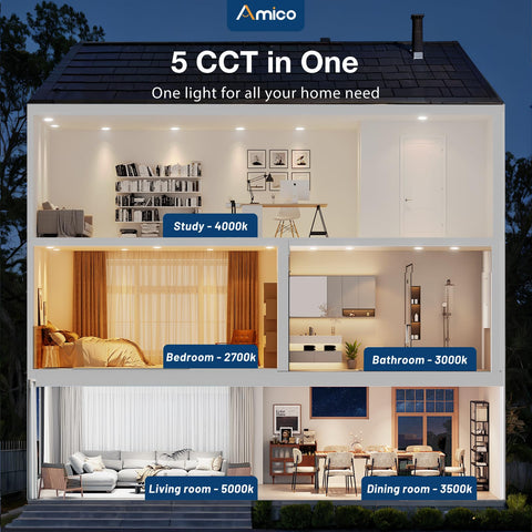 Amico 6-inch 5CCT color temperature selection for customizable ambiance