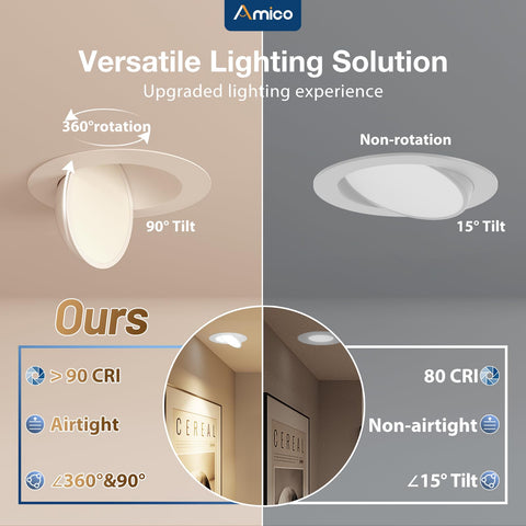 Amico 6-inch downlight with 90° tilt to accent artwork and murals.