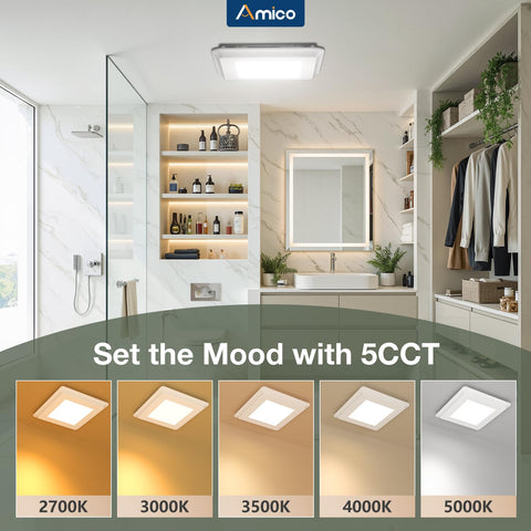 Amico 5000K daylight light for clear visibility during grooming.