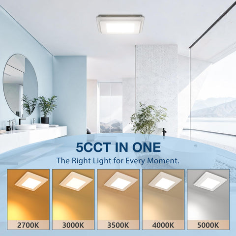 Amico fan with 5 CCT lighting options for mood customization.