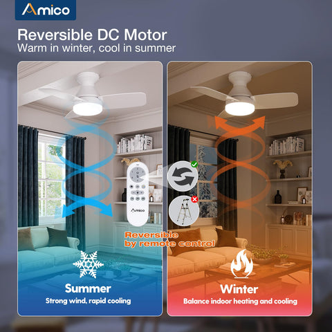 Amico reversible DC motor with dual‑color blades for seasonal comfort.