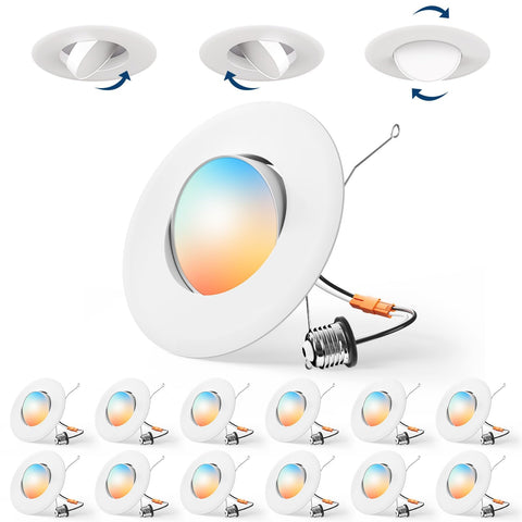 Amico eyeball downlight with adjustable swivel for accent lighting