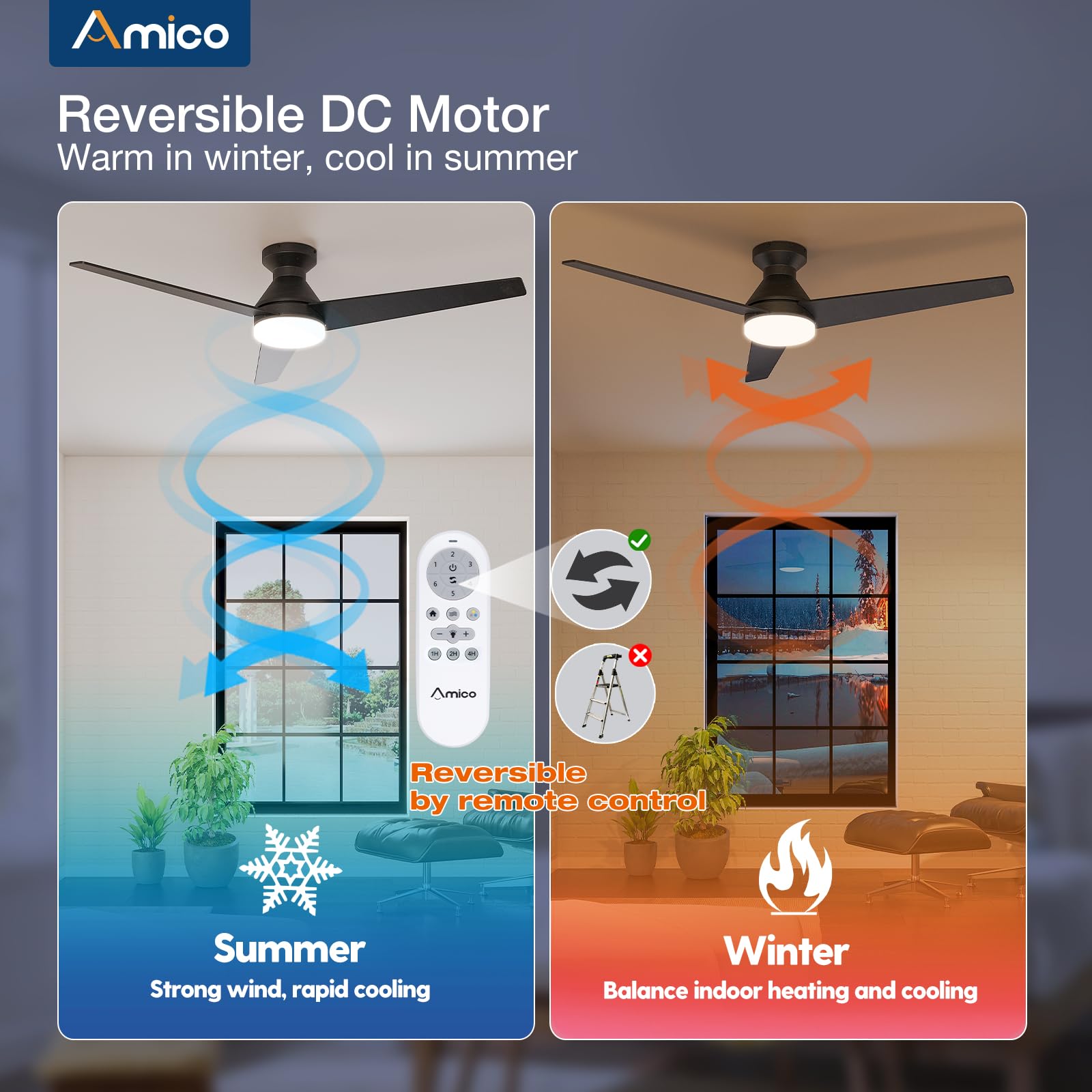 Double-sided blades in black and walnut on the Amico ceiling fan.