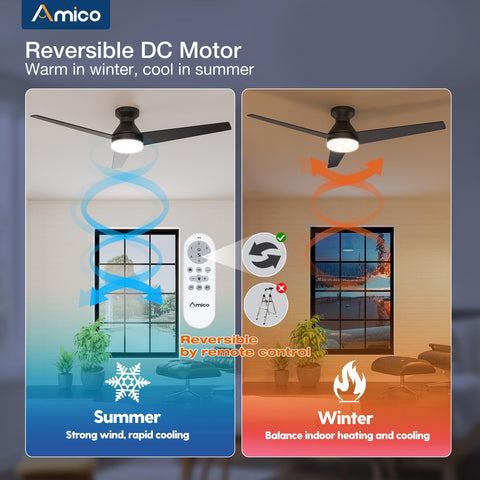 Double-sided blades in black and walnut on the Amico ceiling fan.