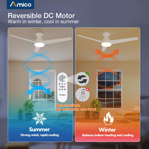 Amico reversible DC motor with dual-direction blades for year-round comfort.