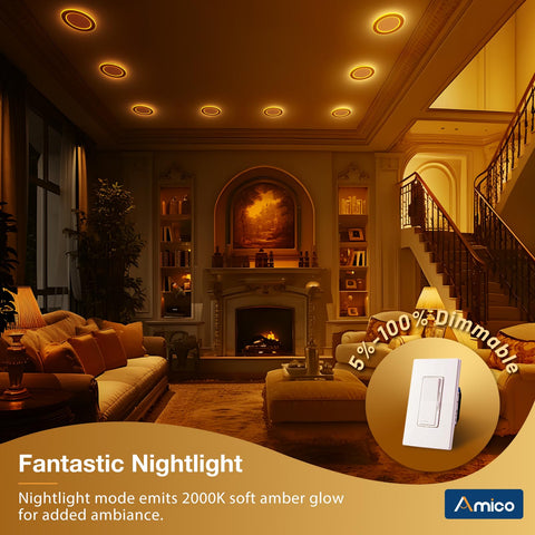Amico synchronization reset feature keeps all lights in consistent downlight mode.