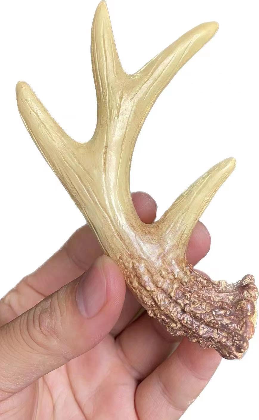 Amyoxu resin antlers resist wear while keeping natural look.