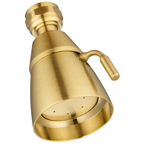 Angle Simple high-flow shower head in brushed dark gold for powerful rinsing.