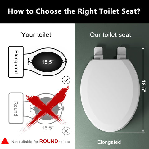 Angol Shiold molded wood seat finish adds durable warm look