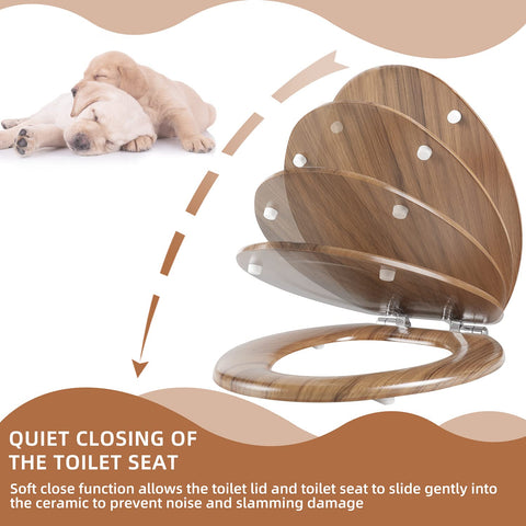 Angol Shiold quick-release-hinges enable fast cleaning access.