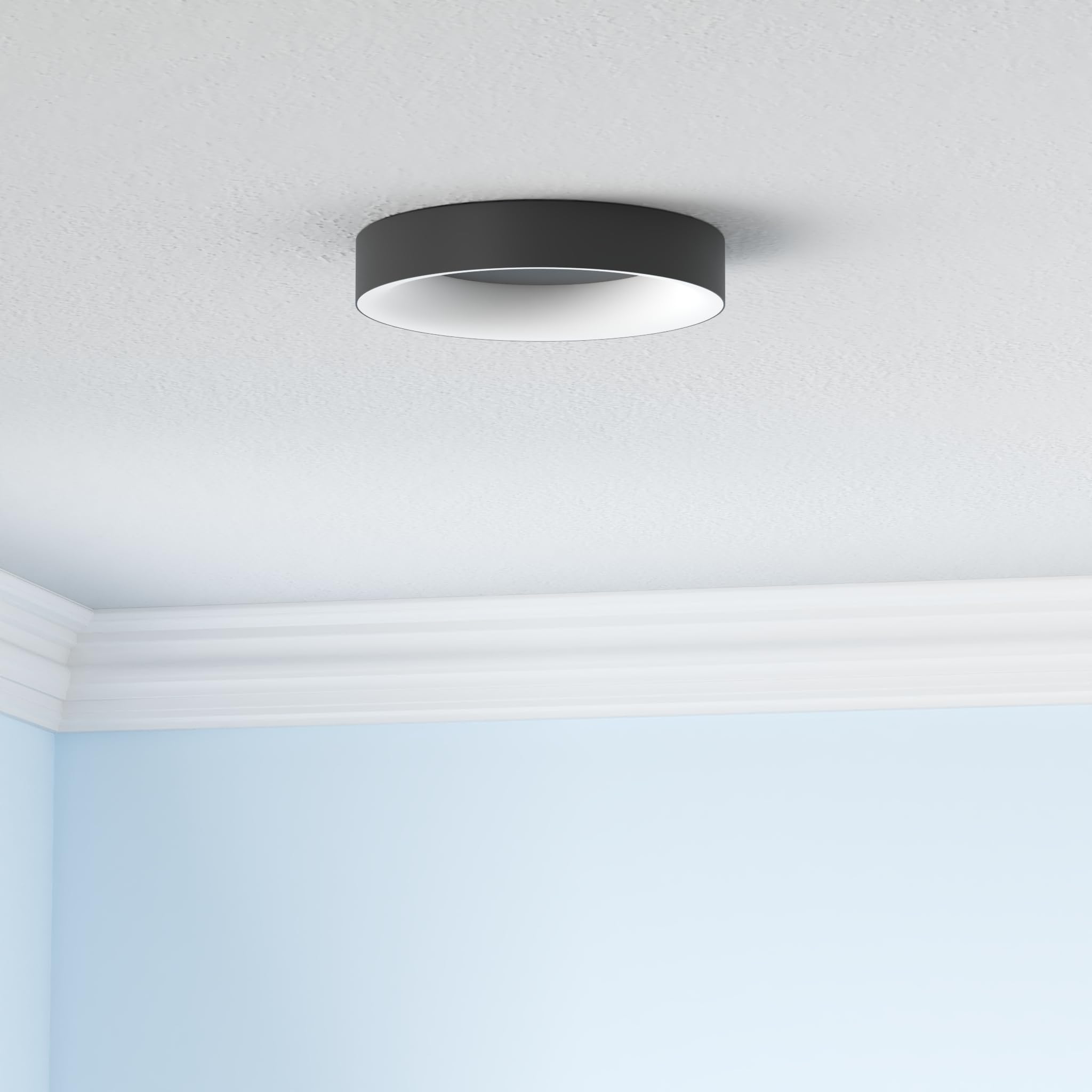 Annaror 24W dimmable ceiling light with 3000K-6500K color temperature